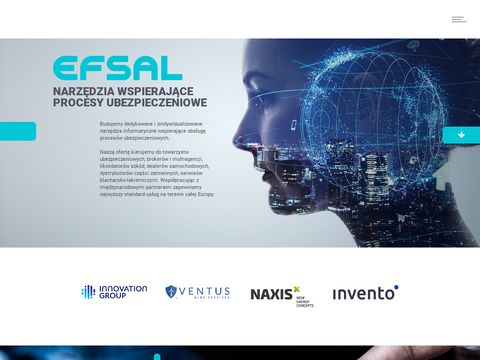 Efsal.pl narzędzia informatyczne