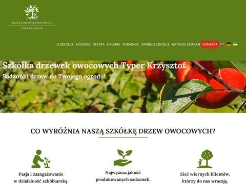 Drzewka-typer.pl szkółka drzewek