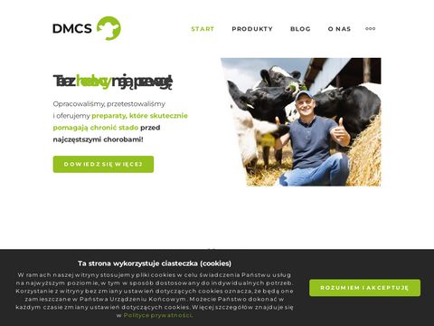 Dmcs.com.pl - mastan