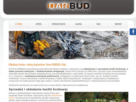 Darbud.eu - usługi koparką Ryk