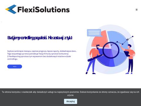 Flexisolutions.pl rozwiązania informatyczne