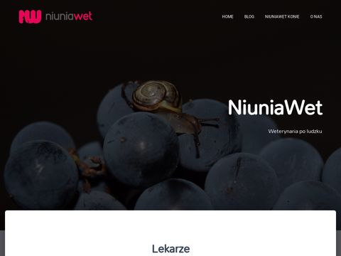 Niuniawet.pl