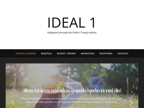 Ideal-1.pl systemy oświetleniowe Poznań