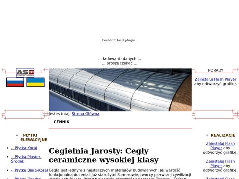 Jarosty.pl cegła gotycka producent