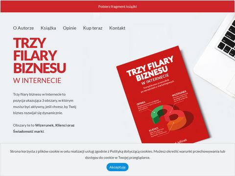 Trzyfilarybiznesu.pl stworzenie strony