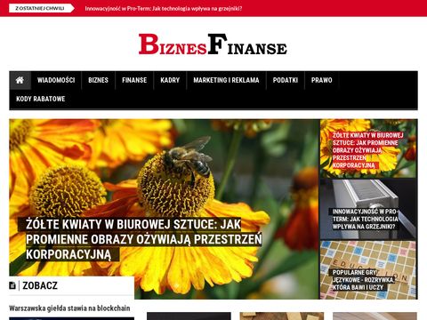 Biznesfinanse.pl serwis