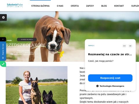 Szkolenie labrador - aport.com.pl