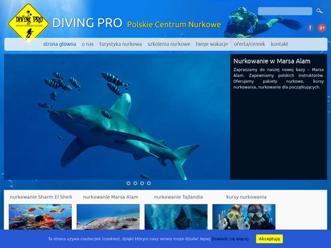 Diving Pro - nurkowanie Sharm