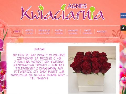 Agnes kwiaty Szczecin