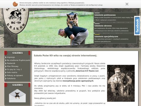 K9.com.pl szkolenie psów Kraków