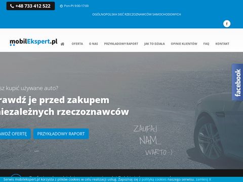 Mobilekspert.pl raport - samochodowy