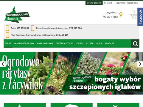 Szmaragdoweogrody.pl thuja smaragd