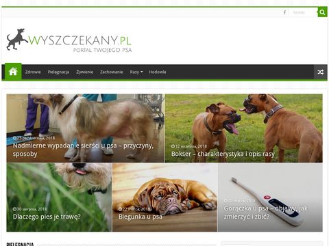 Wyszczekany.pl - portal psa