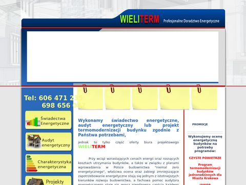 Wieliterm.pl audyt efektywności