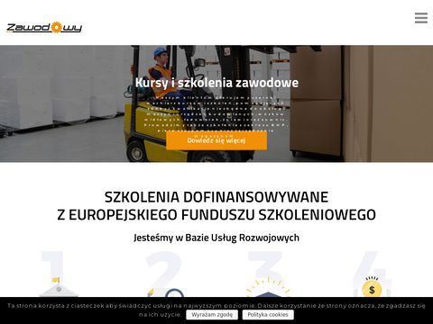 Zawodowy.eu - wózki widłowe