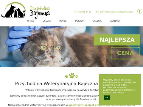 Przychodniabajeczna.pl - leczenie kotów