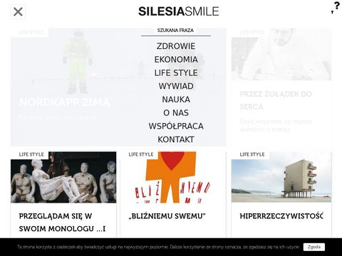 Silesia Smile magazyn o firmach