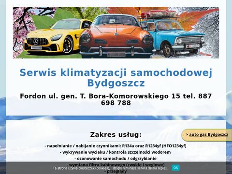 Serwis-klimatyzacji-samochodowej.bydgoszcz.pl