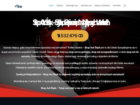 Skupaut24.slask.pl - każdego pojazdu