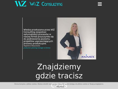 Wiz-consulting.pl biznesowy