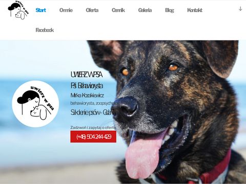 Uwierzwpsa.pl - szkolenie psów
