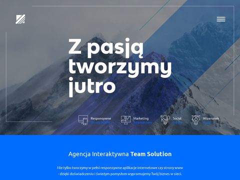 Teamsolution.pl projektowanie stron Kraków