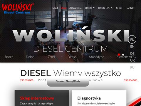Wolinski.com.pl - pompowtryskiwacze