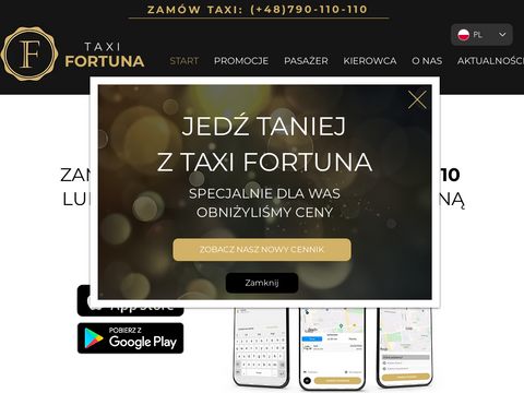 Fortuna Taxi - tanie taxi w Łodzi