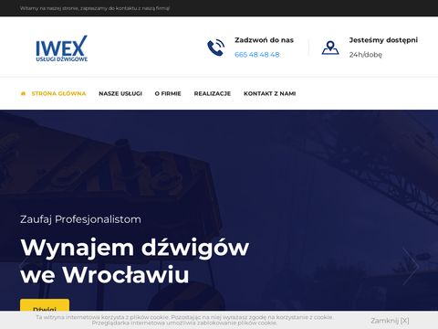 Iwex-dzwigi.pl - wynajem dźwigów Wrocław