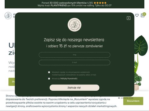 Malaszklarnia.pl - rośliny online