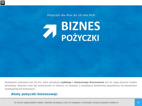 BiznesPozyczki.pl dla firm