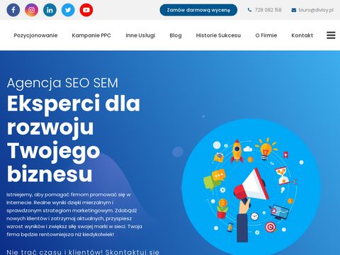 Divloy.pl seo, google ads, facebook ads